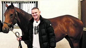 Wayne Rooney compra cavalo de corridas
