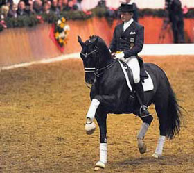 Totilas de novo “encostado às boxes”