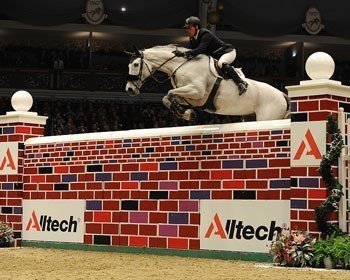 Williams & Schwizer Share Honours in the Christmas Puissance