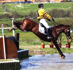 Mary King vai montar "Chilli Morning"