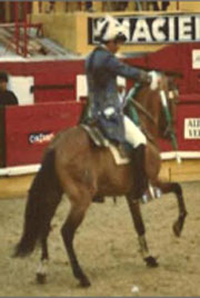 Manuel Jorge de Oliveira ministra Est&aacute;gio de Equita&ccedil;&atilde;o na Azambuja