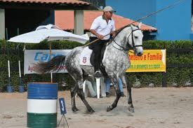 Nova modalidade equestre: "EQUITAHORSE”