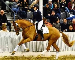 Hanoverian Winter-Auction finished with a sound result