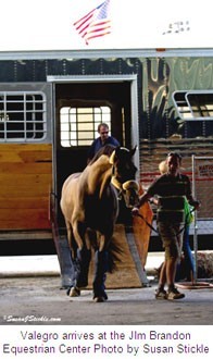 European Horses Arrive at Jim Brandon Equestrian Center