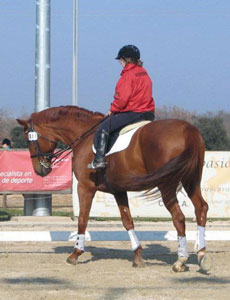 Ana Isabel Mota Veiga no pódio em Espanha