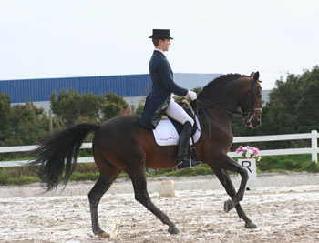 Quarenta Conjuntos no CDN da Beloura