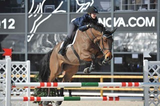 Terminou a primeira semana de provas para cavalos novos do MET