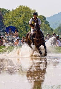 Morreu Lord Killinghurst, o cavalo ol&iacute;mpico de Andrew Nicholson