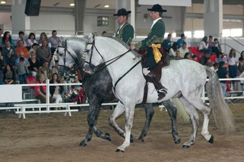 III edi&ccedil;&atilde;o dos "Juegos y Manejos de Monta Espa&ntilde;ola"