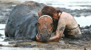 Três horas na lama para salvar cavalo