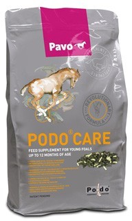 Proteja o seu poldro - reduza o risco de Osteocondrite