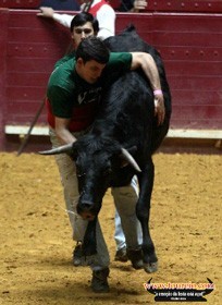 Açores ganha concurso de pegas