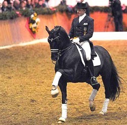 Matthias Rath Sponsored by Animo