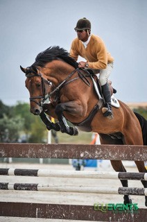 Boas prestações dos nacionais nos cavalos novos em Vilamoura