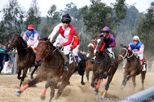 Presidente do município de Alter defende apostas nas corridas de cavalos