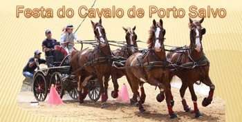 XIII Festa do Cavalo de Porto Salvo