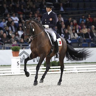 "Rubi" é o décimo melhor cavalo do Ranking Mundial de Raças 2012