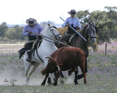 Parelha portuguesa &agrave;s portas do p&oacute;dio no II Campeonato de Espanha de Acoso y Derribo 2012