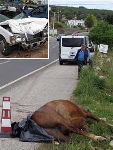 Cavalo &agrave; solta na EN 125 destr&oacute;i Mercedes