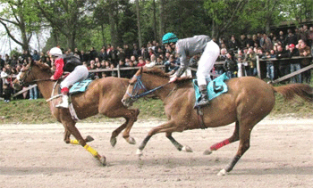 Fillaboa e os estreantes Feitizo e Jatibonico sãos os vencedores da 5ª Jornada em Felgueiras