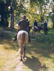 Cavalos Lusitanos no Caminho de Santiago de Compostela