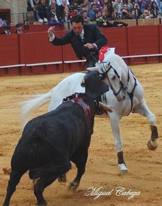 Andy Cartagena triunfa com “Fandy” e sai em ombros da arena de Madrid