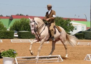 Resultados da II Jornada de Equita&ccedil;&atilde;o de Trabalho