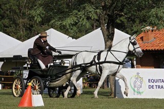 1ª Etapa do Campeonato Brasileiro de Atrelagem