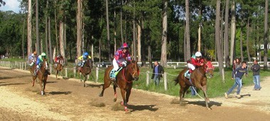Cavalos da Quadra Maia Alfe dominam na 7&ordf; Jornada