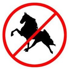 Treinadores norte-americanos torturam cavalos (vídeo)