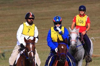 Horses are big business in Dubai