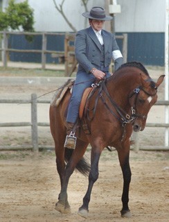 Resultados da I Jornada de Equita&ccedil;&atilde;o de Trabalho