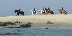 Itinerários de Turismo Equestre - Porto e Norte (vídeo)