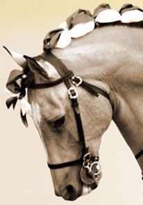 Prova Morfo-funcional do cavalo de Toureio na SANTIAGRO