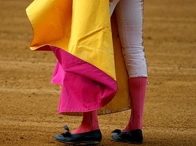 Munic&iacute;pios querem Tauromaquia classificada como "Patrim&oacute;nio Cultural de Portugal"