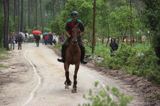 Resultados da V Jornada do Campeonato Nacional de TREC 2012