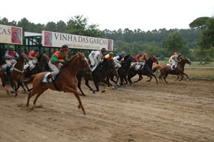 Corridas de Cavalos com Apostas Legais até ao final do ano
