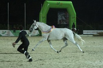 «Úrsula» confirma título de Campeã de Campeões em Ponte de Lima (actualizada)