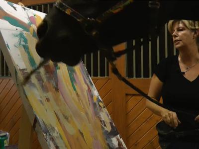 Justin um Frísio tem uma habilidade especial, ele pinta (vídeo)