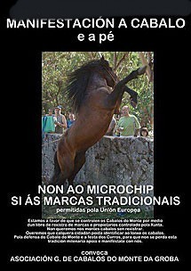Junta da Galiza autoriza a morte de cavalos selvagens que não tenham chip