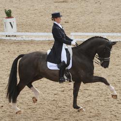 Dutch Horses Positioned for Olympic Medals