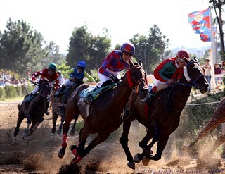 Maia recebe pela quinta vez o Campeonato Nacional de Corridas de Cavalos