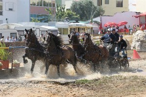 Abóboda recebeu o Masters de Derby de Atrelagem