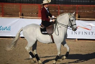 Lusitanos s&atilde;o estrelas de cinema no Chile