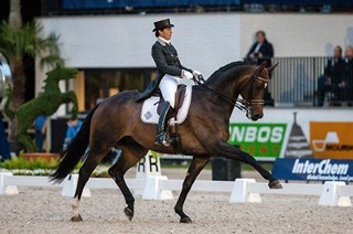 Who is Anton? de Cees Slings para Tinne Vilhelmson Silfvén (vídeo)