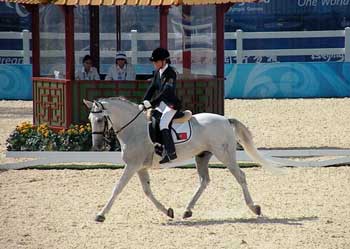 Saiba + sobre Sara Duarte (vídeo)