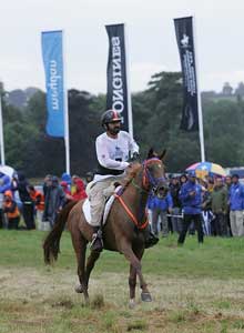 Massive medal haul for UAE at Longines FEI World Endurance Championships