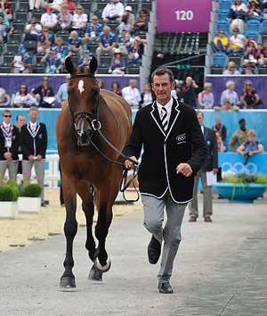 Cavalos de Mark Todd &agrave; venda