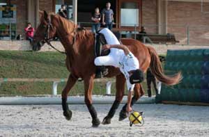 Exibição de Horseball durante o Campeonato da ABHIR