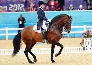 18 Cavalos de Dressage participaram na sua última Olimpiada
